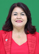 Agente politico