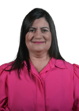 Agente politico