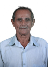 Agente politico