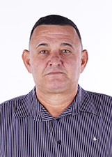 Agente politico