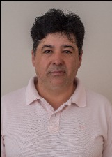 FLÁVIO BORTOLETTI PICA-PAU