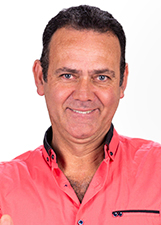 Agente politico