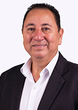 Agente politico