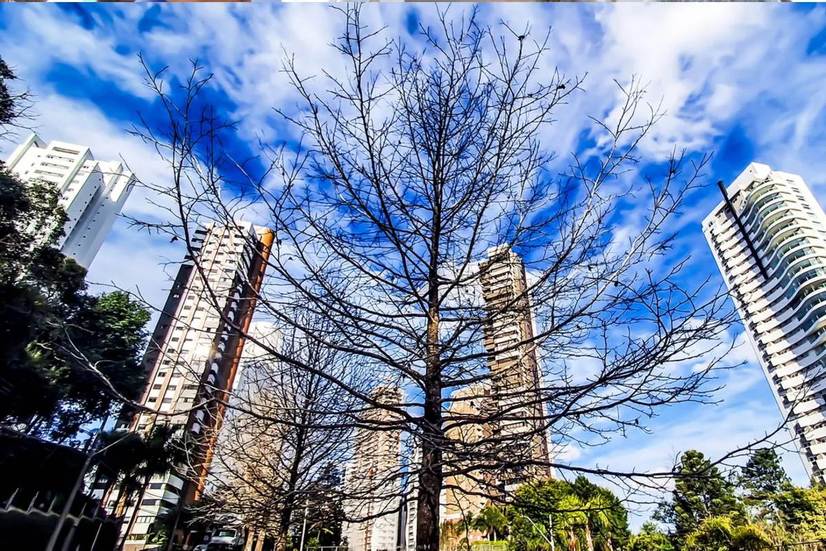 Previsão do tempo em Curitiba tem máxima de 30ºC, mas ciclone se aproximando