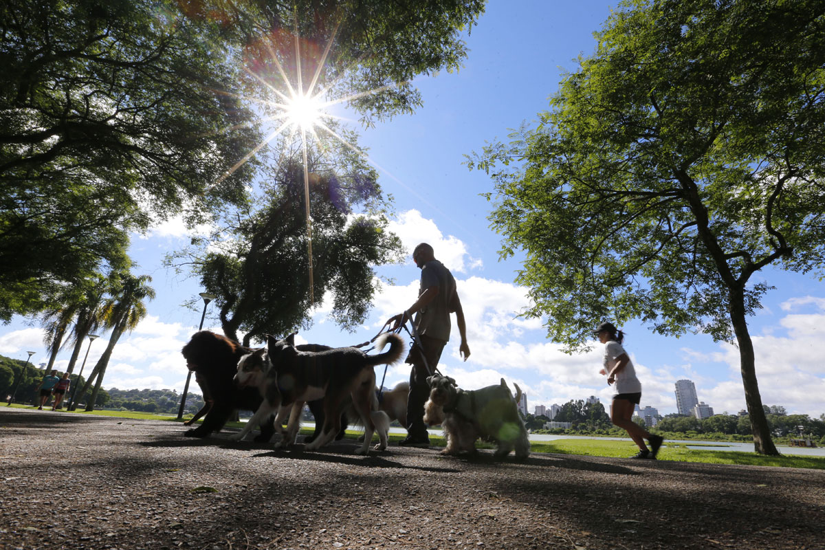 Previsão do tempo para Curitiba no dia 24/12/2019.