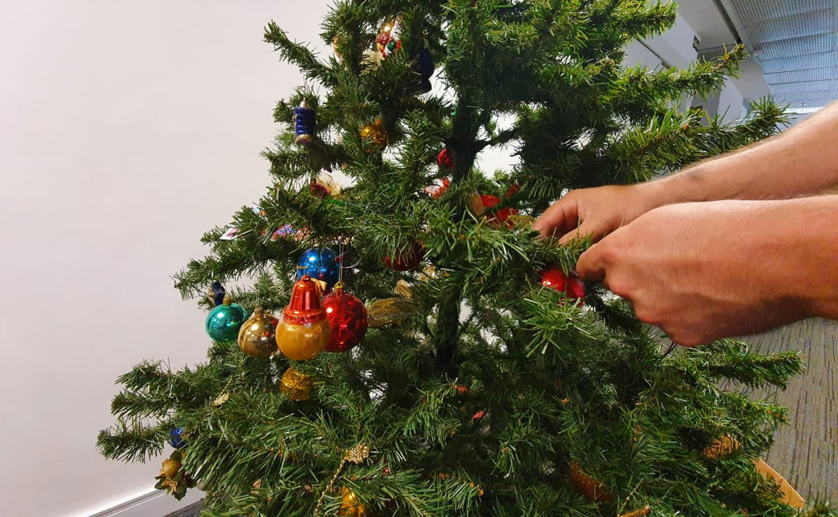 Dia de Reis 2020: chegou a hora de desmontar a árvore de Natal