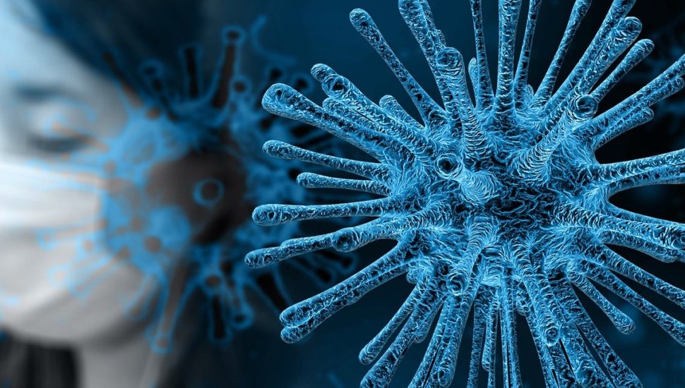 Coronavírus. Foto: Gerd Altmann / Pixabay