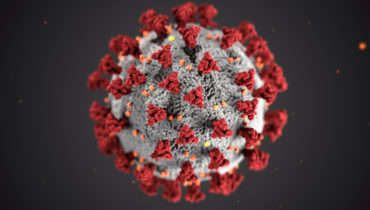 Coronavírus, Foto: CDC / Unsplash