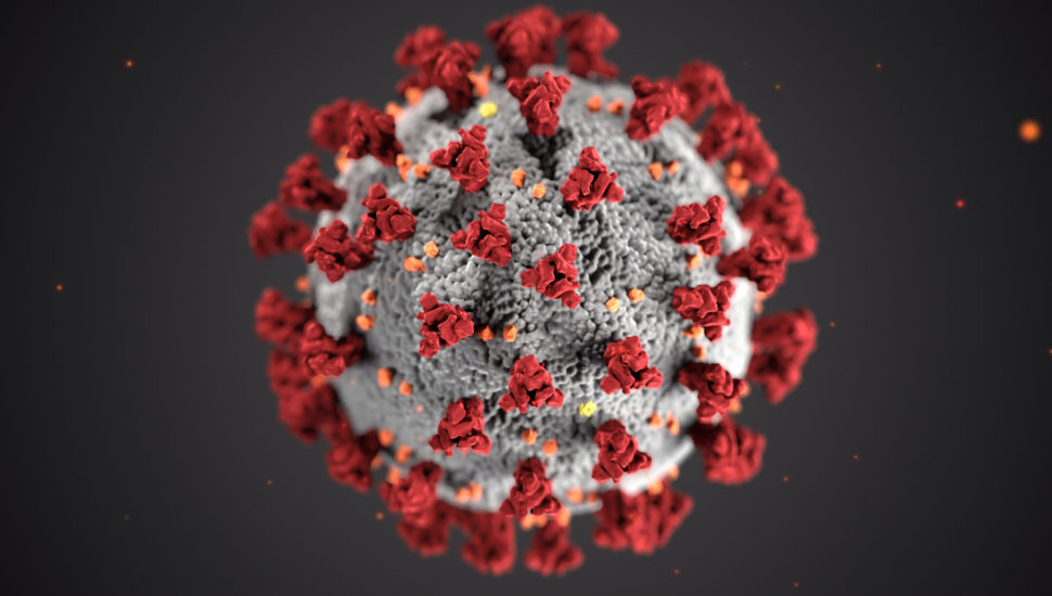 Coronavírus, Foto: CDC / Unsplash