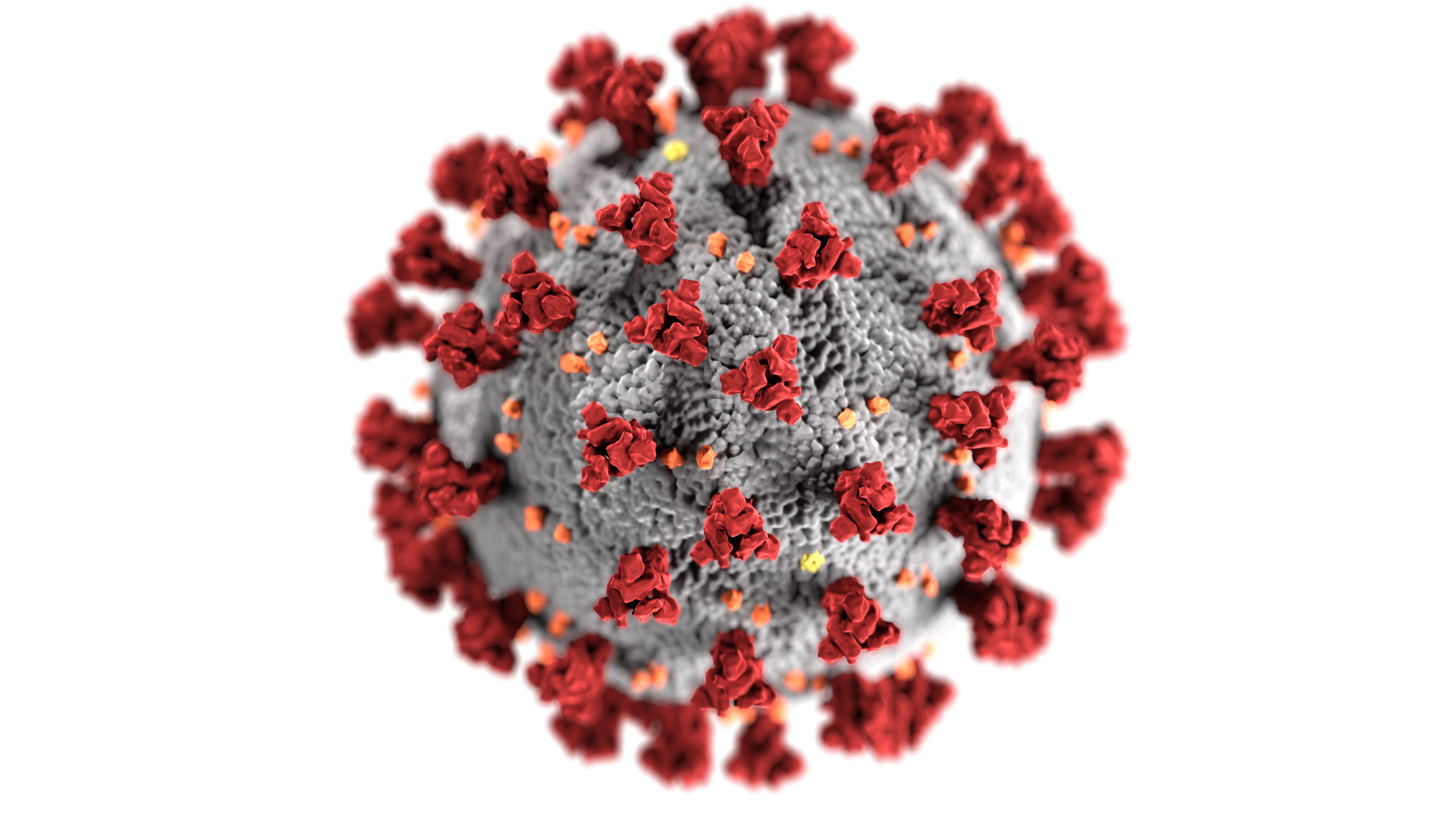 Coronavírus. Arte: CDC / Unsplash