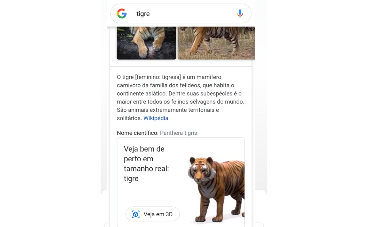 Veja animais em 3D no Google pelo celular usando realidade aumentada