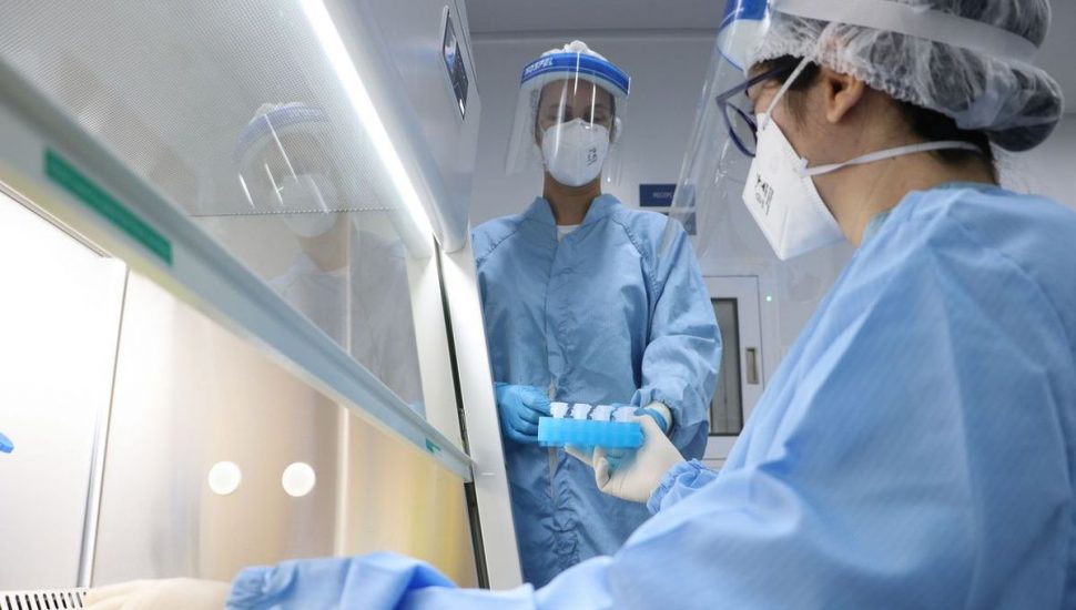 Testes que detectam o novo coronavírus