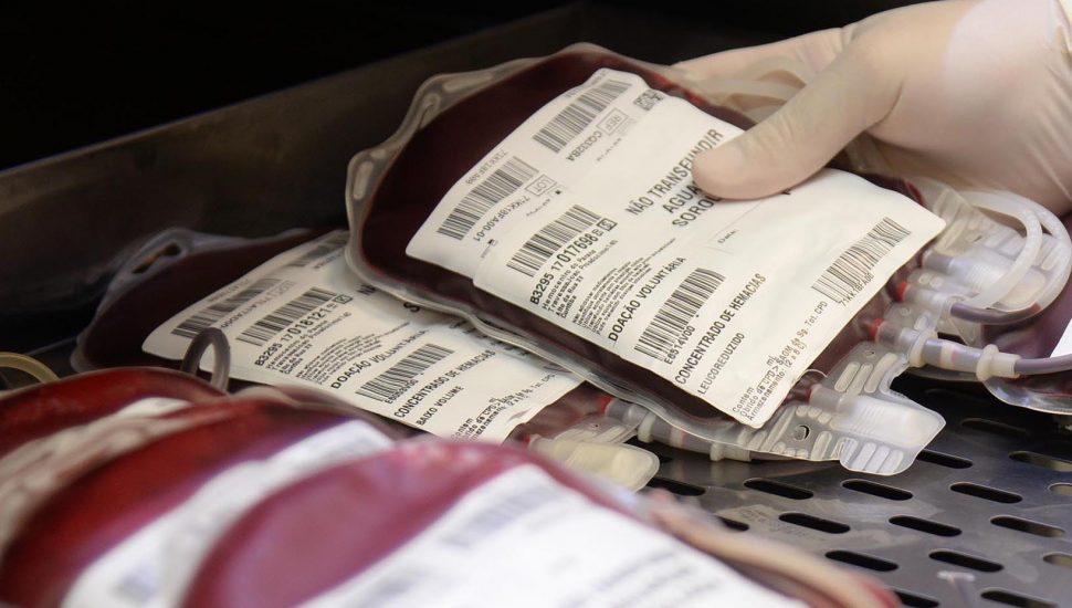 Doação de sangue Hemepar