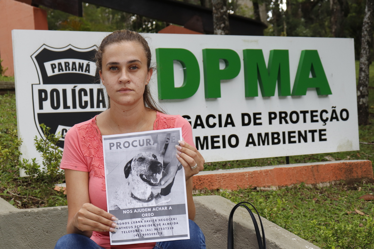 tutora procura cachorra