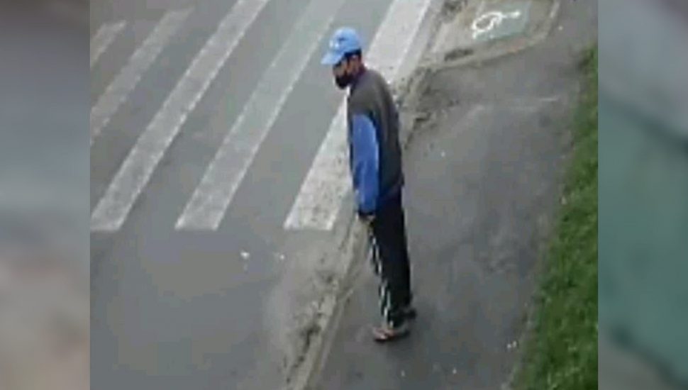 video-zoofilia-piraquara-procura-2