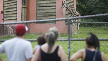 Após um ano fechado, zoológico de Curitiba vai reabrir nesta quinta-feira