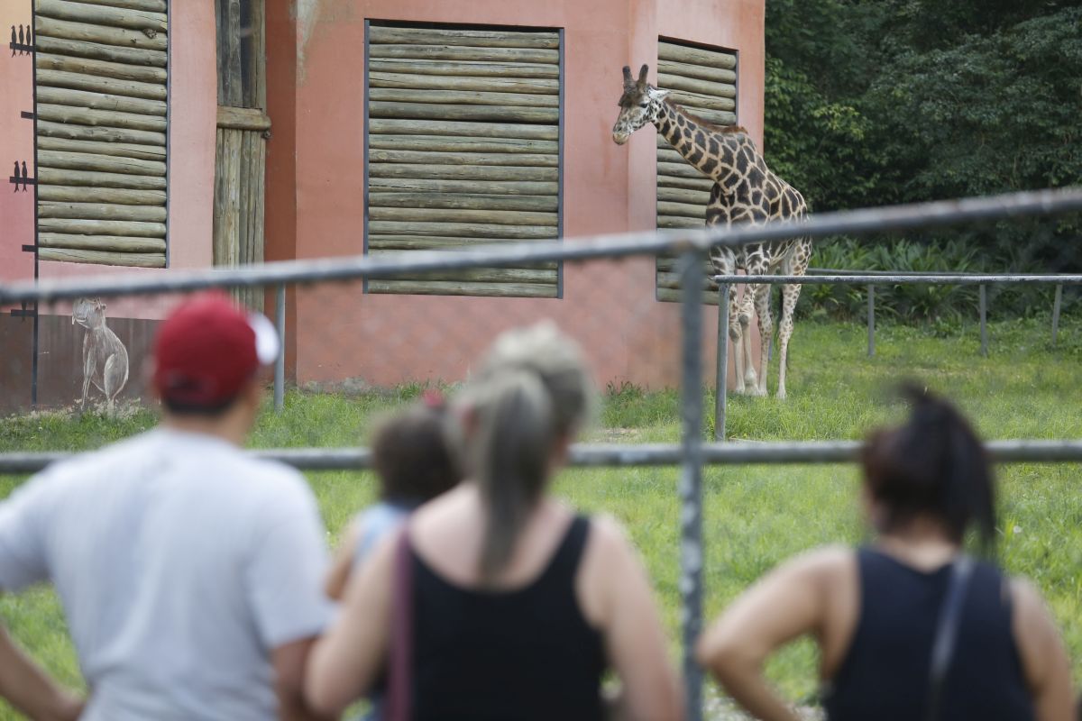 Após um ano fechado, zoológico de Curitiba vai reabrir nesta quinta-feira