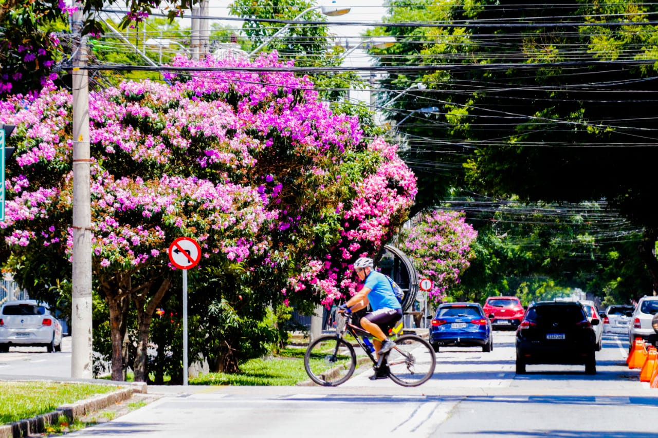 calor curitiba atila alberti