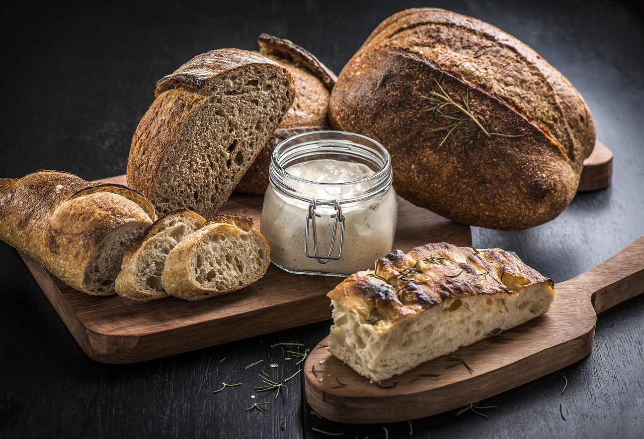 fermento natural para pão