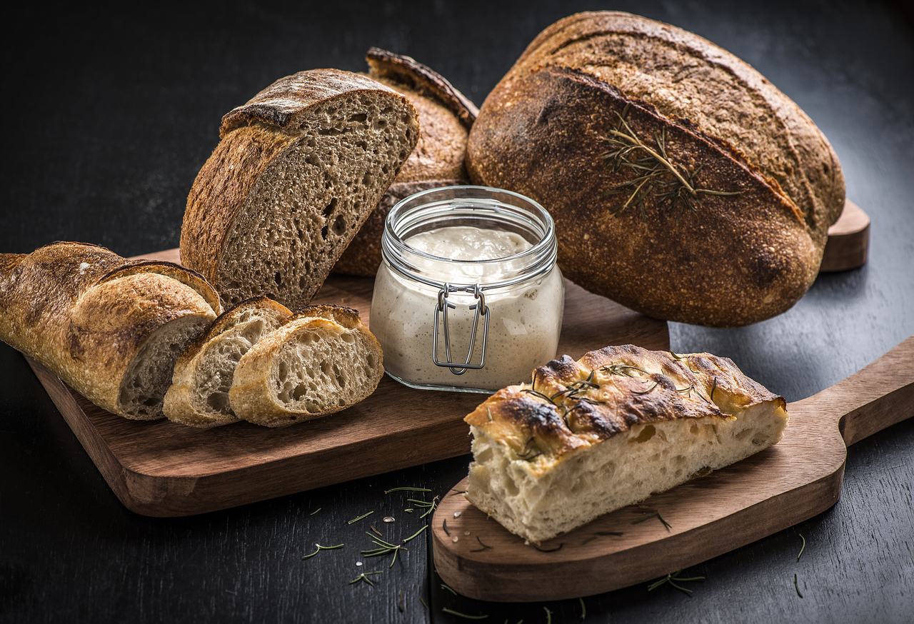 fermento natural para pão