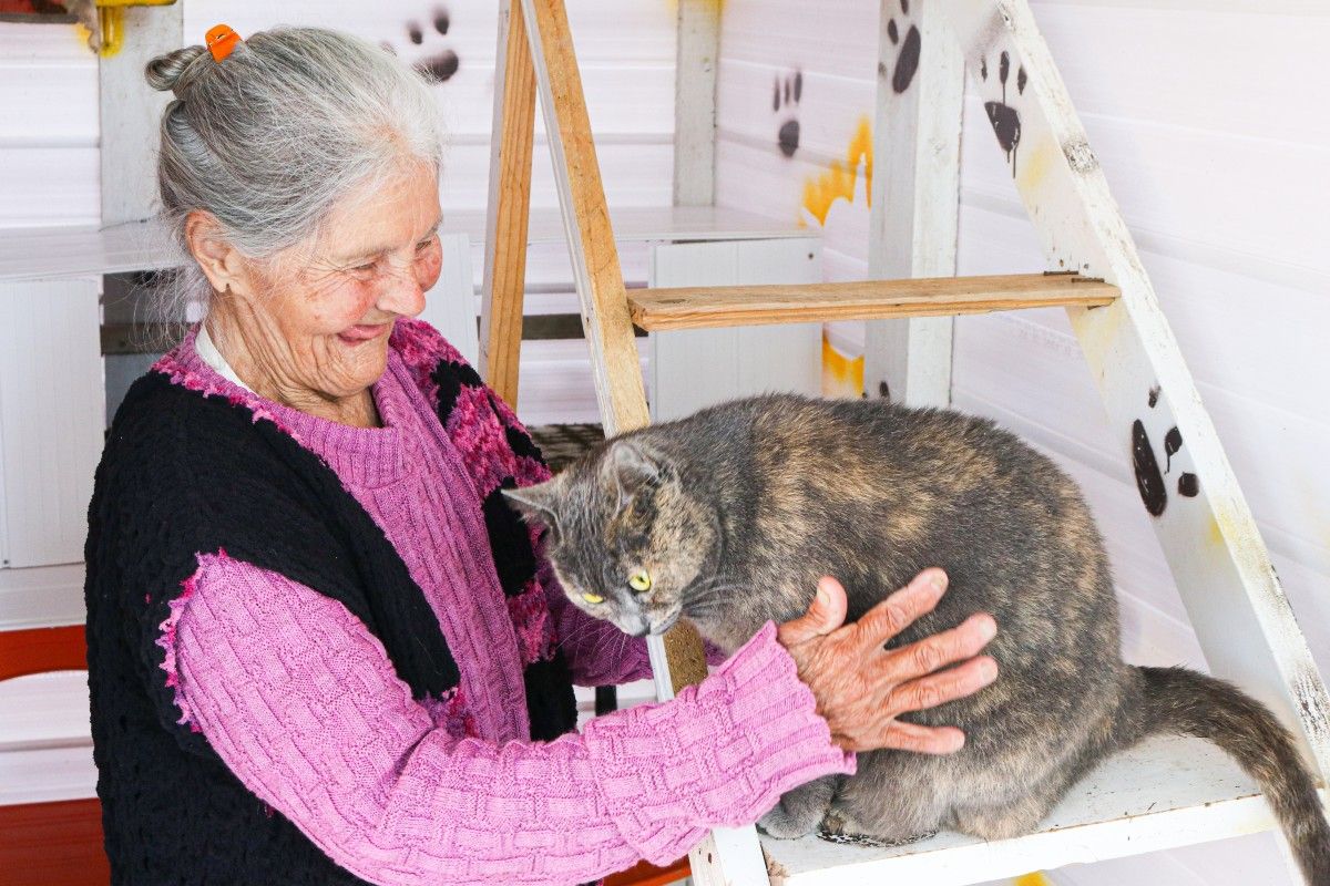Pandemia muda vida e rotina em asilos de Curitiba