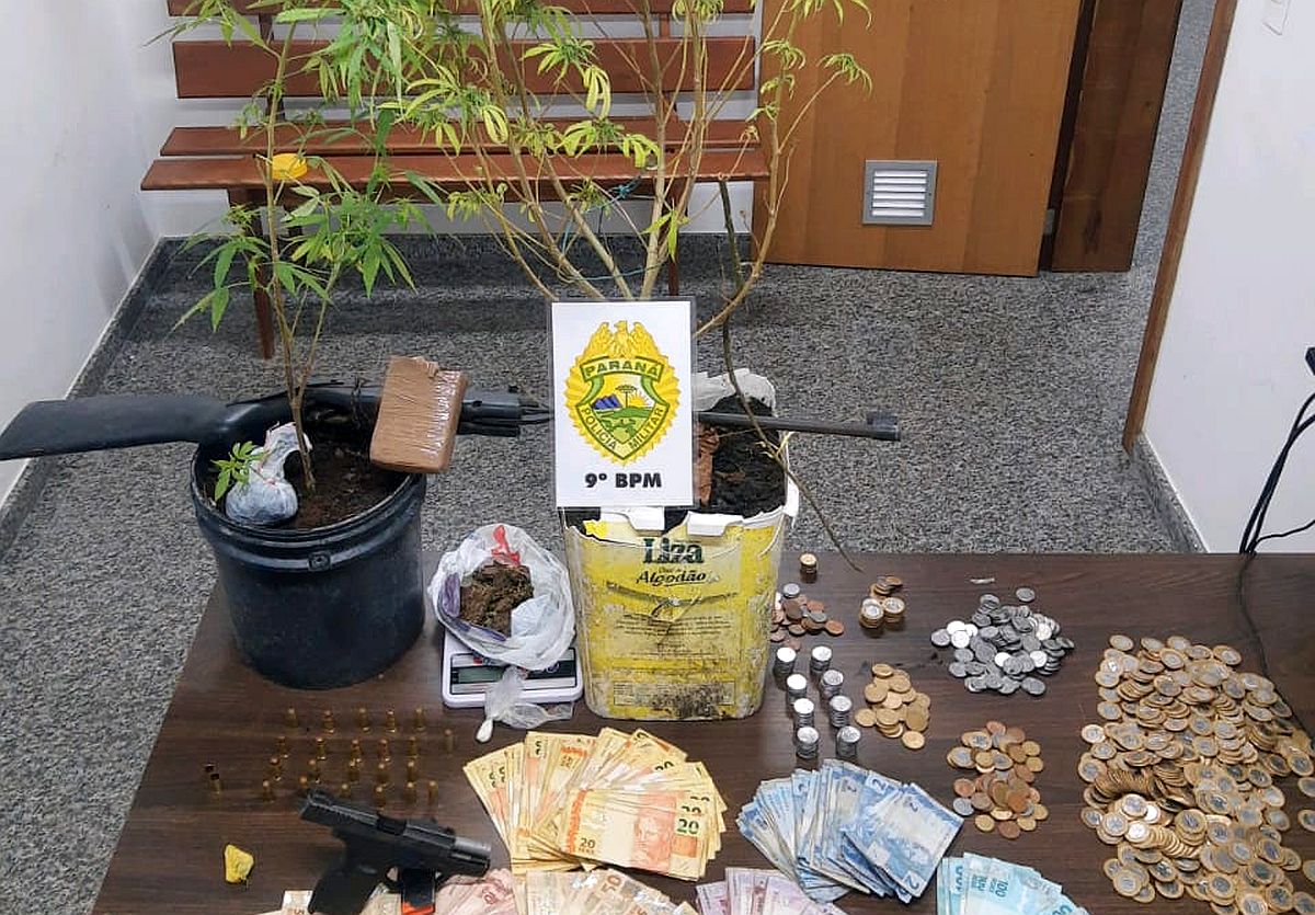 Pés de maconha apreendidos após denúncia e tiros na rua em Matinhos