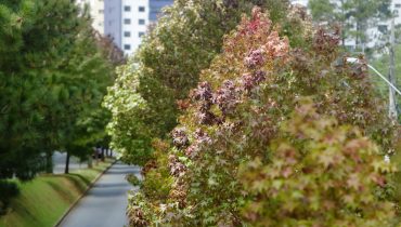 Previsão do tempo para Curitiba e região