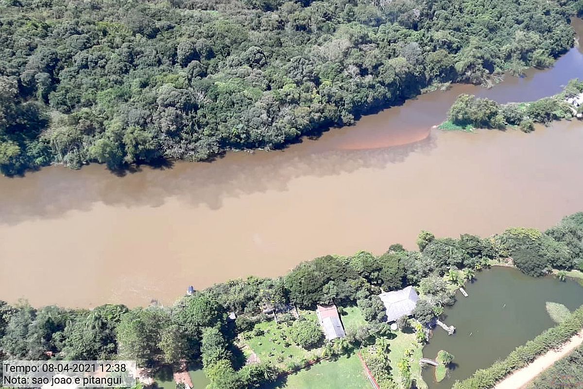 IAT orienta sobre como fazer denúncia de crimes ambientais no Paraná.