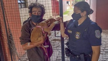 Guarda Municipal de Curitiba cuida de cachorro de morador de rua esfaqueado