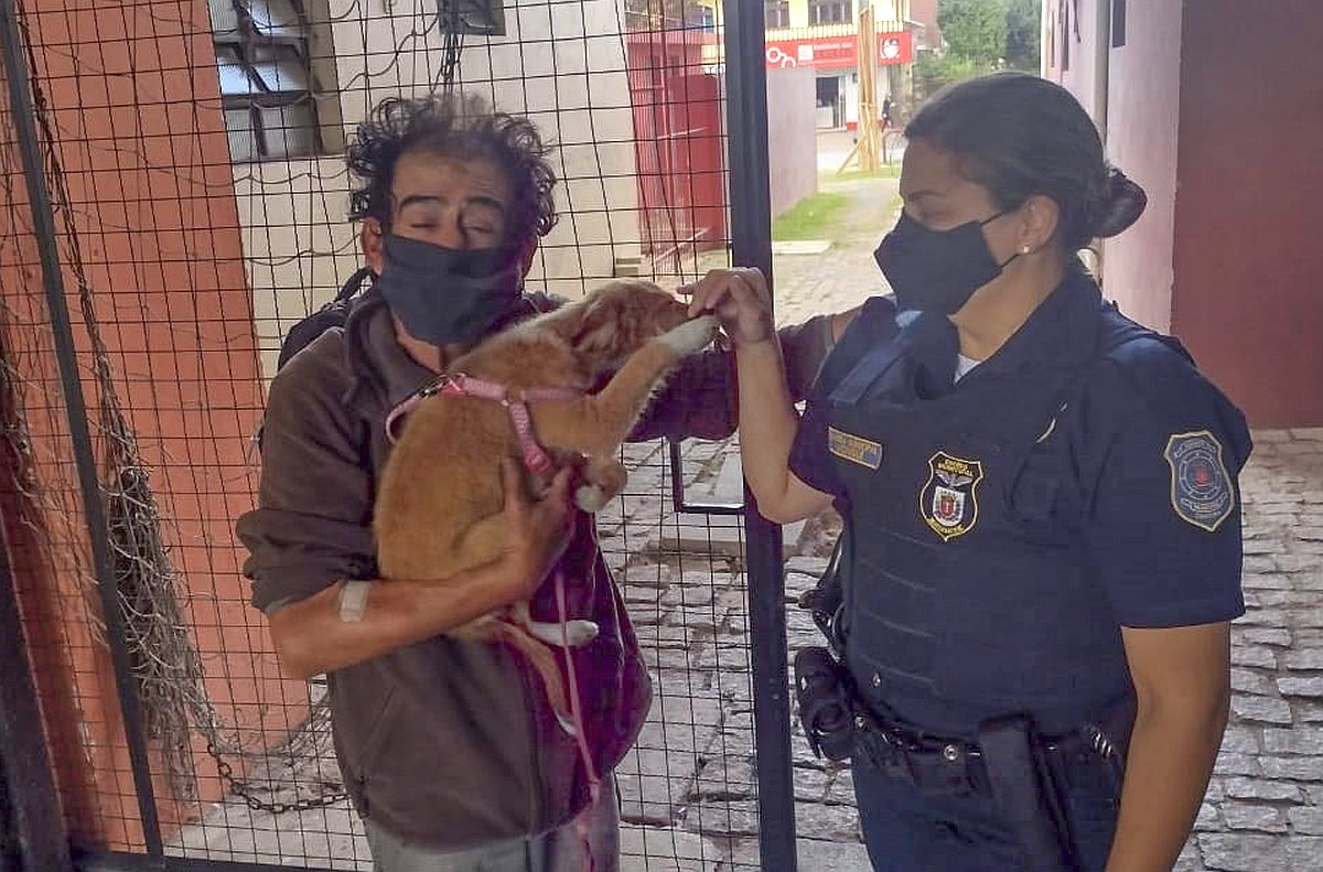 Guarda Municipal de Curitiba cuida de cachorro de morador de rua esfaqueado