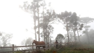 frio paraná
