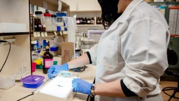 pesquisa vacina covid ufpr