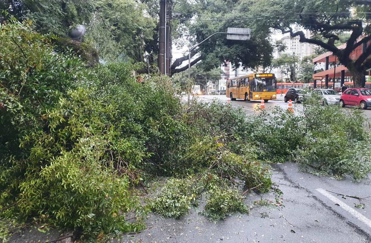 Ventania causa estragos em Curitiba