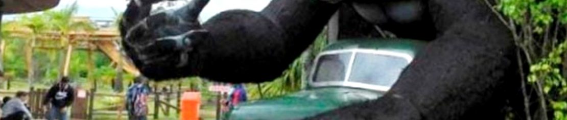 Criança caiu do gorila do Beto Carrero e ficou gravemente ferida