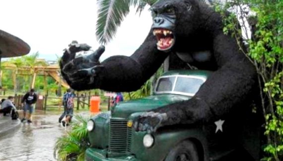 Criança caiu do gorila do Beto Carrero e ficou gravemente ferida