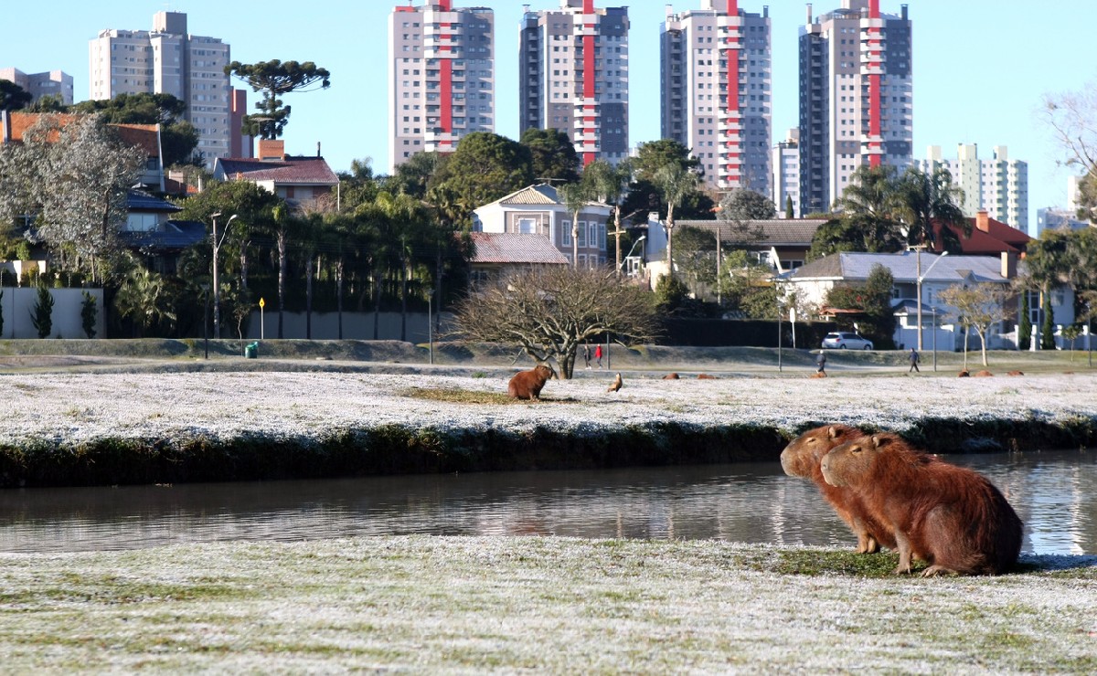 geada em Curitiba