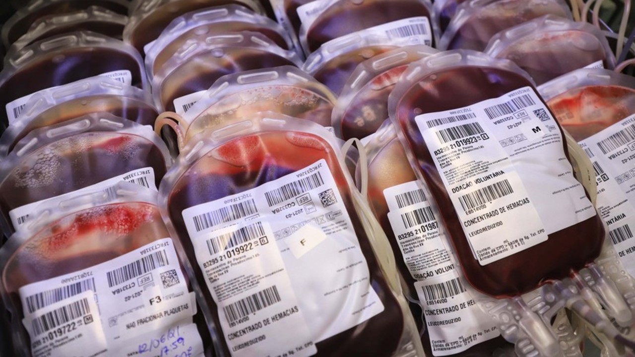 doacao de sangue hemepar