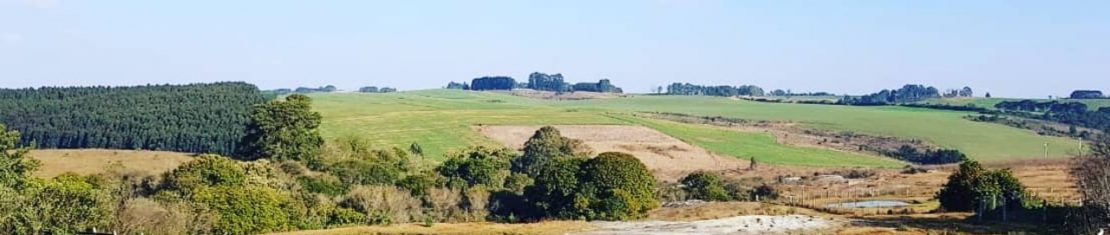 ponyland em witmarsum