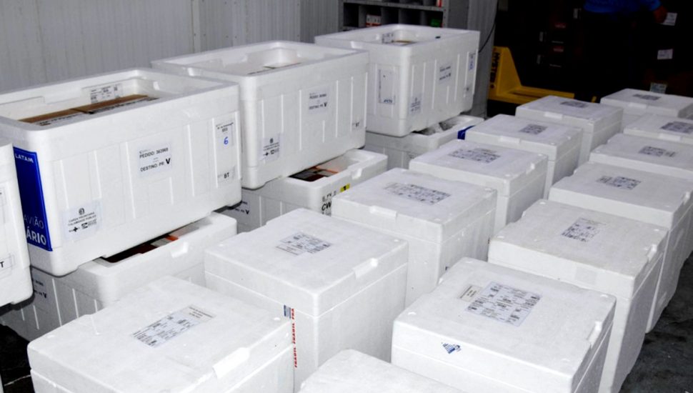 Paraná recebe mais 107 mil vacinas contra a covid-19.