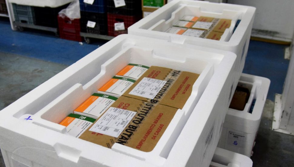 Vacinas chegam nesta quinta-feira ao Cemepar.