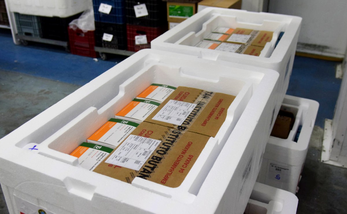 Vacinas chegam nesta quinta-feira ao Cemepar.