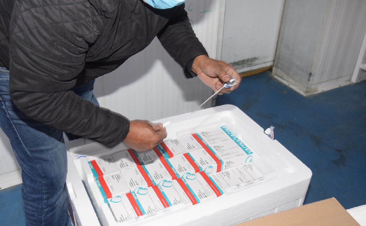 Lotes chegam ao Paraná já com destino certo de aplicação.