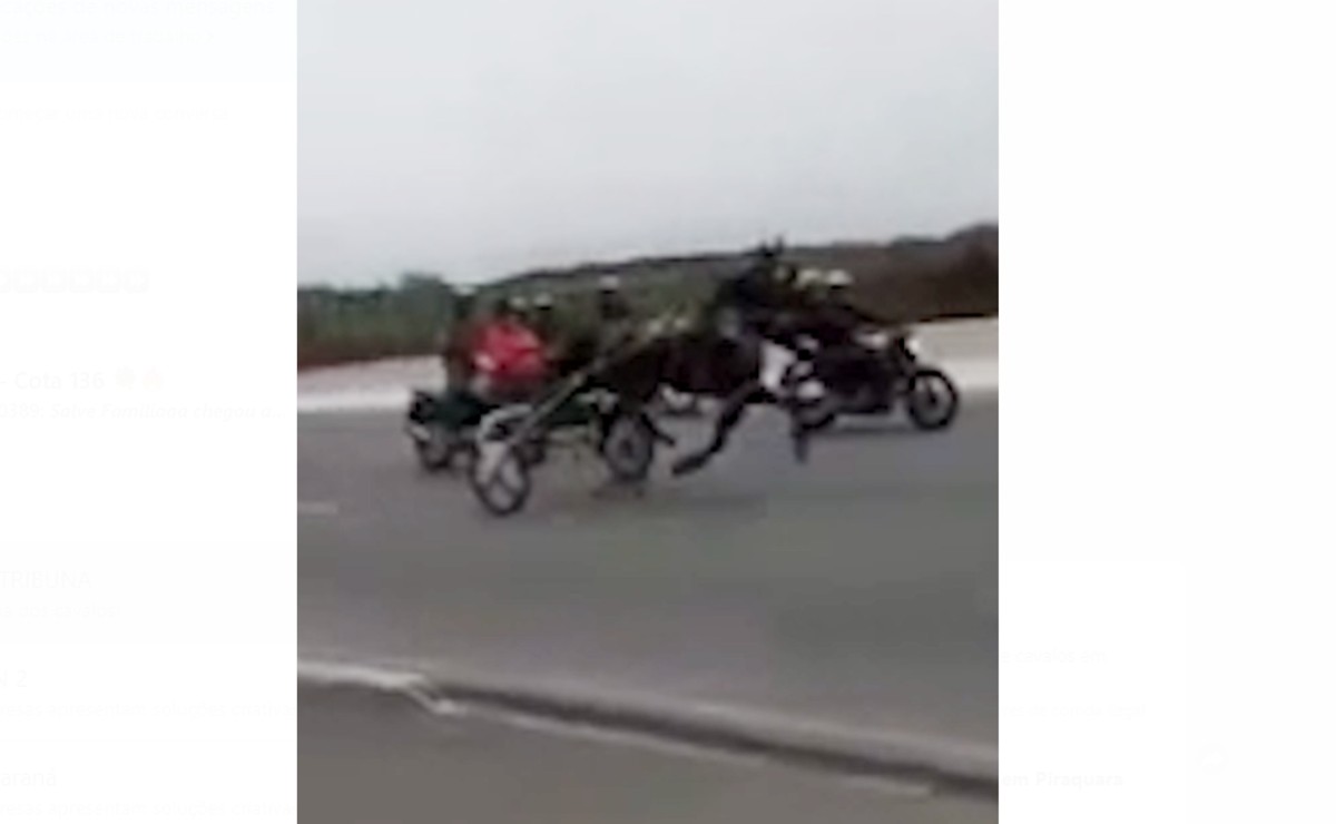 Corrida ilegal com cavalos vai parar na polícia, que busca organizadores pelo evento de maus tratos.