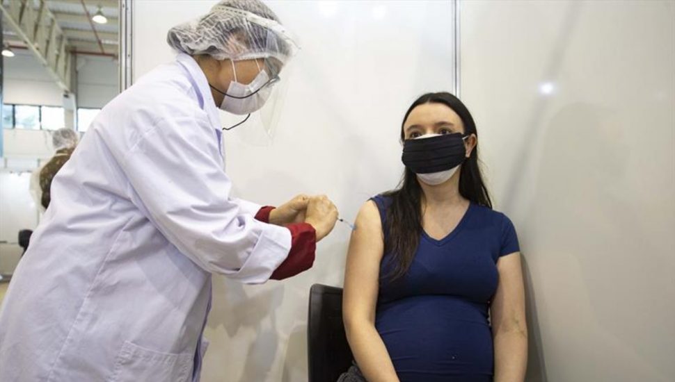 gravidas vacina