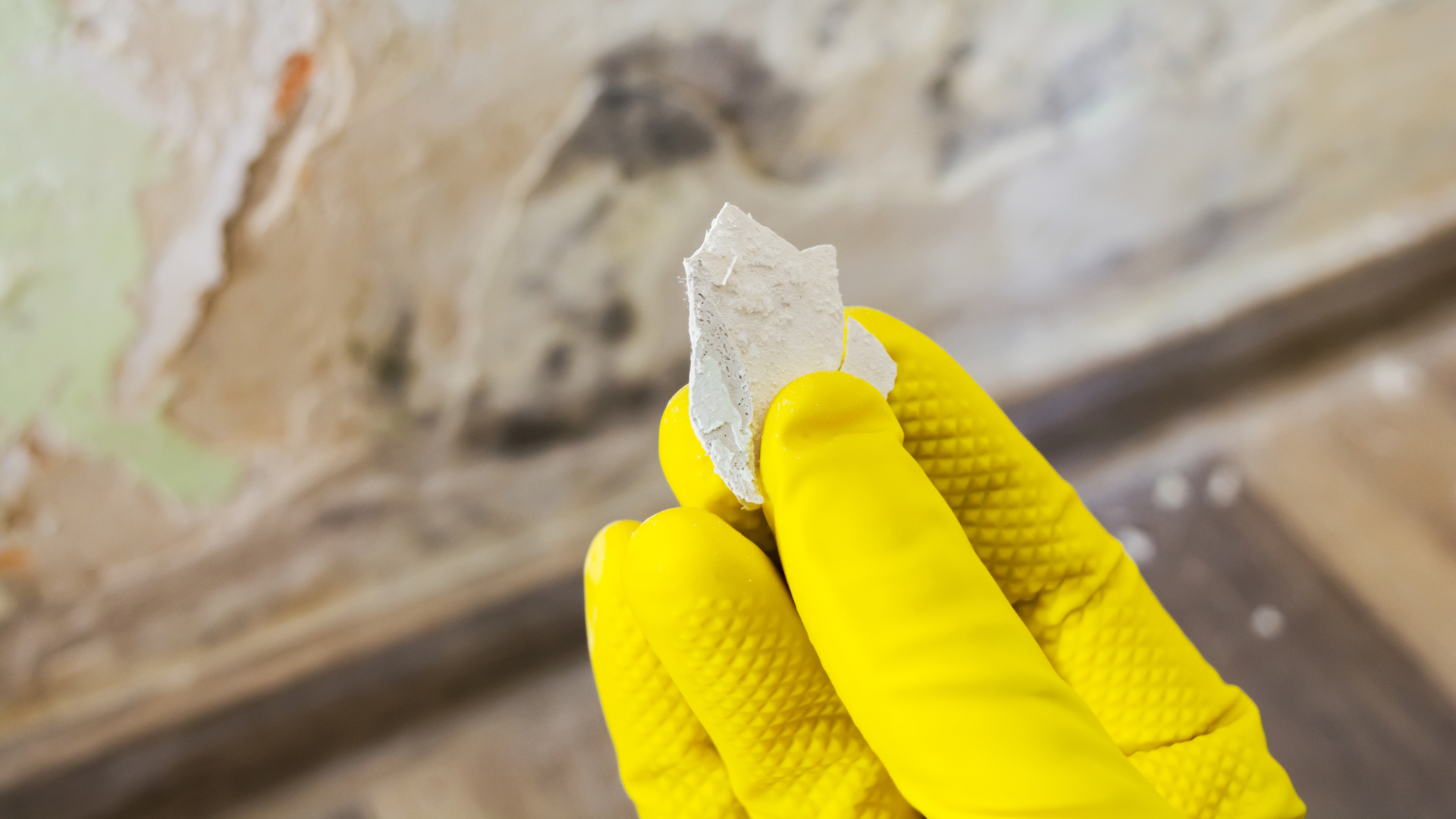 No longo prazo, infiltrações favorecem o aparecimento de mofo e podem comprometer a estrutura do imóvel. | Foto: Shutterstock