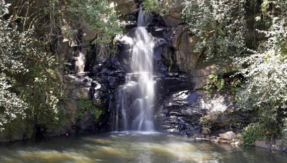 Parque vista alegre