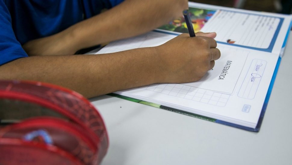 Animais apareceram em um pátio do Cmei, mas foram recolhidos assim que a prefeitura ficou sabendo.