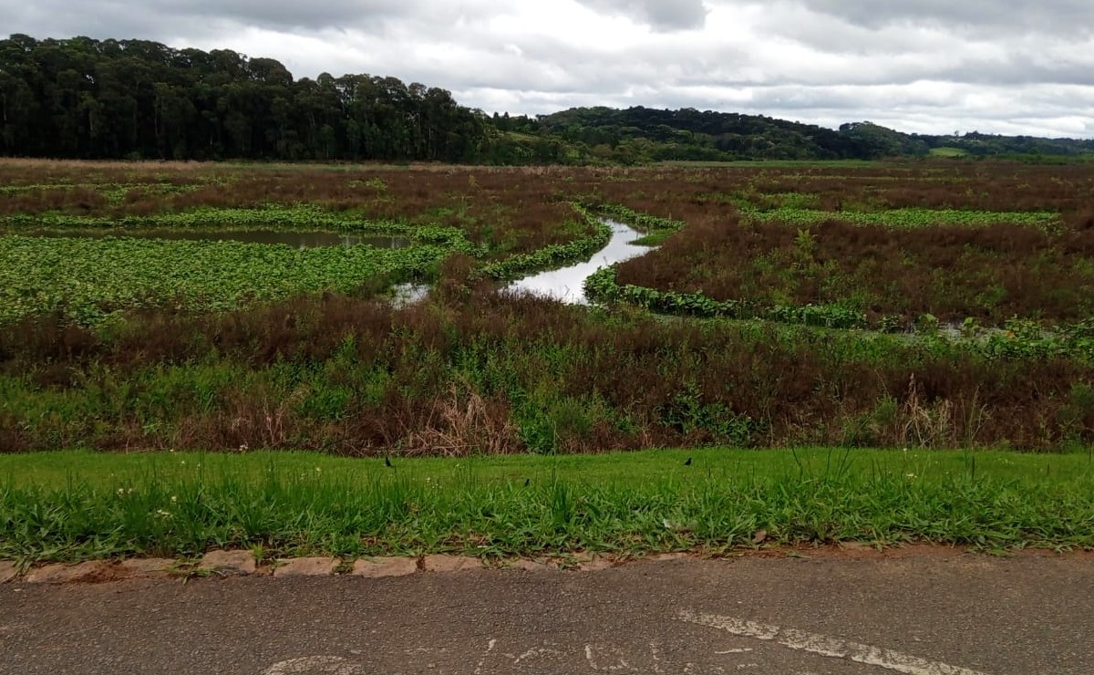 Nesta quarta-feira (13), nível dos reservatórios que abastecem Curitiba estava em 55%.