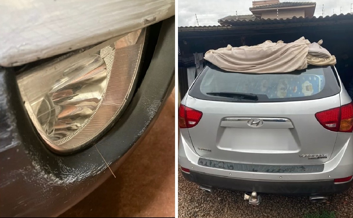 Atropelamento das capivaras ocorreu no dia 5 de outubro e o caso foi encerrado dez dias depois. Detalhe mostra o pelo da capivara ainda preso ao carro.