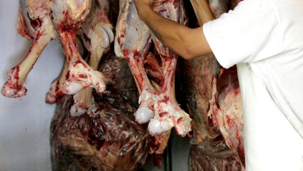 Ossos e carcaças viraram alternativa para quem não tem condições de comprar carne por conta da alta nos preços.